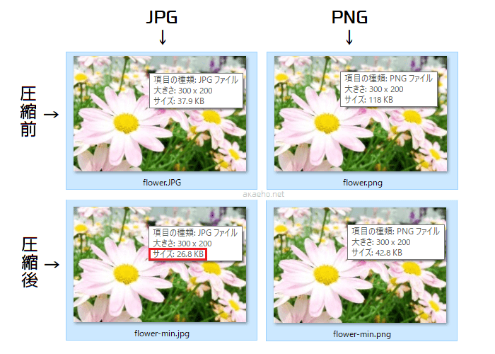 JPG/PNG/圧縮JPG/圧縮PNGデータサイズの比較-花の写真